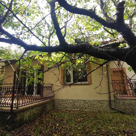 Chalet Oaza Spokoju - - Spacerowa 32